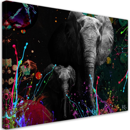 Obraz na plátně, Slon na barevném pozadí