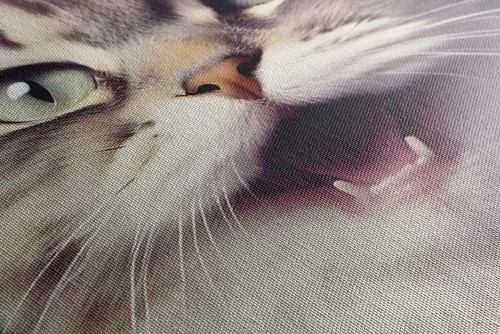 Obraz mačka so slúchadlami