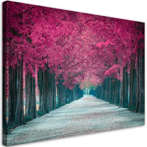 Obraz na plátně, Avenue růžových stromů