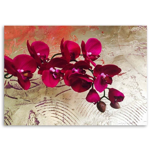 Obraz na plátně Textura květu orchideje