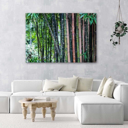 Obraz na plátně Bambusová lesní zelená