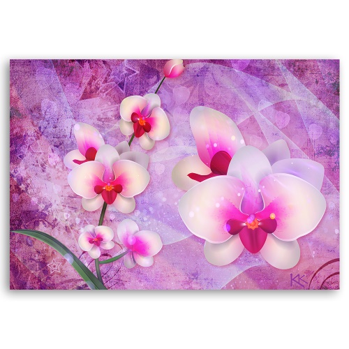 Obraz na plátně, Abstrakce orchidejí