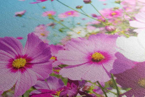 Obraz lúka jarných kvetov