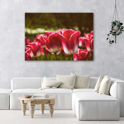 Obraz na plátně Květ červeného tulipánu