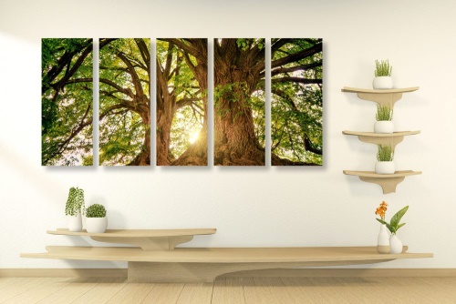 5-dielny obraz majestátne stromy