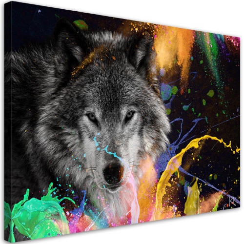 Obraz na plátně, Vlk na barevném pozadí