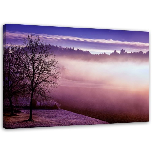 Obraz na plátně Mlha nad Fialovým jezerem
