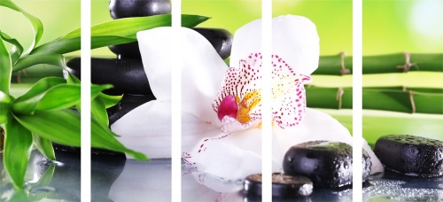 5-dielny obraz japonská orchidea