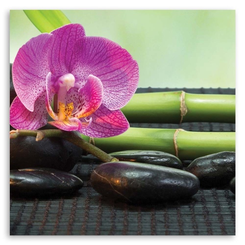 Obraz na plátně Lázně Zen Orchidej Květiny