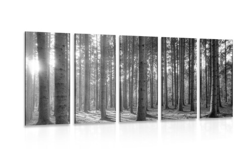 5-dielny obraz ráno v lese v čiernobielom prevedení