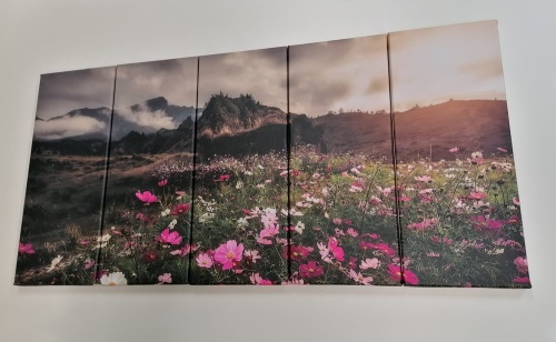 5-dielny obraz lúka kvitnúcich kvetov