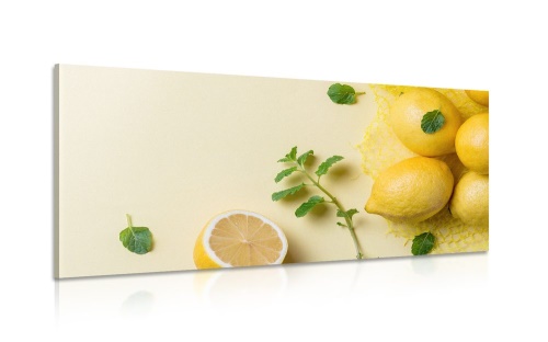 Obraz citróny s mätou