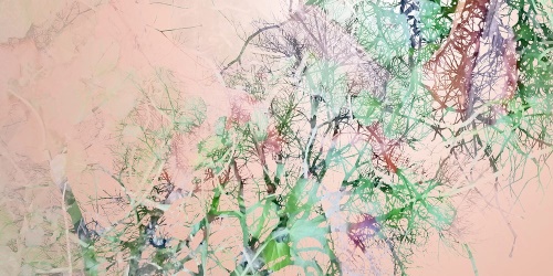 Obraz abstraktné konáre stromu