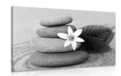 Obraz kvet a kamene v piesku v čiernobielom prevedení