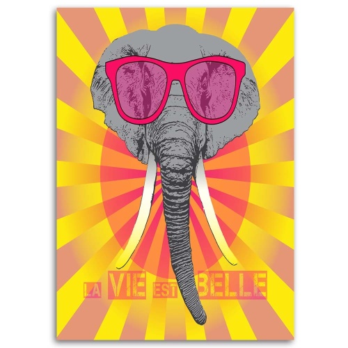 Obraz na plátně Barevný slon s brýlemi