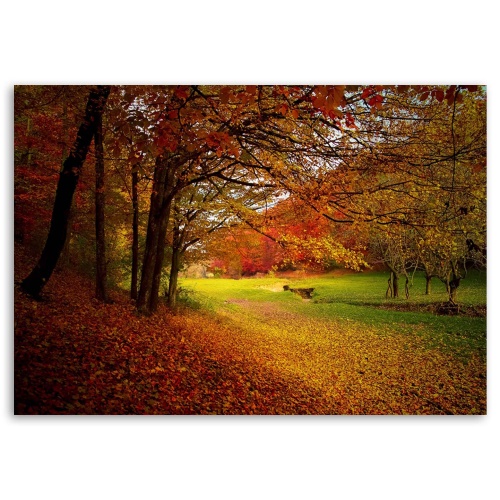 Obraz na plátně Lesní listí podzim