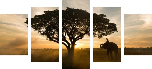 5-dielny obraz slon pri východe slnka