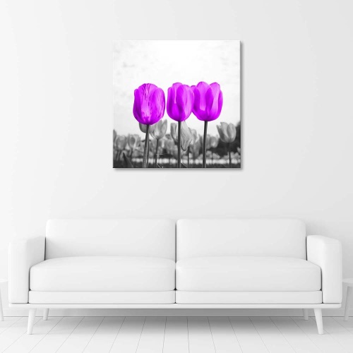 Obraz na plátně Tulipány Louka Příroda Květina Fialová
