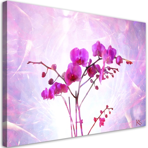Obraz na plátně, Základní orchidej