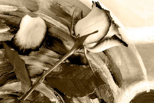 Obraz ruža v sépiovom prevedení