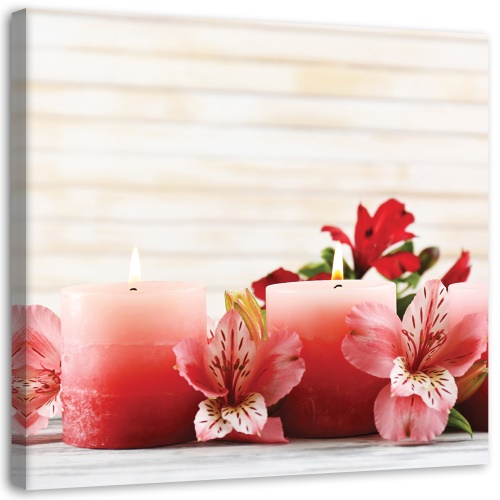 Obraz na plátně Květinové svíčky Zen Pink