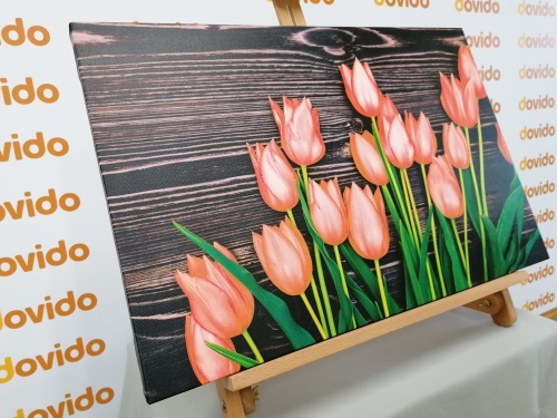Obraz očarujúce oranžové tulipány na drevenom podklade