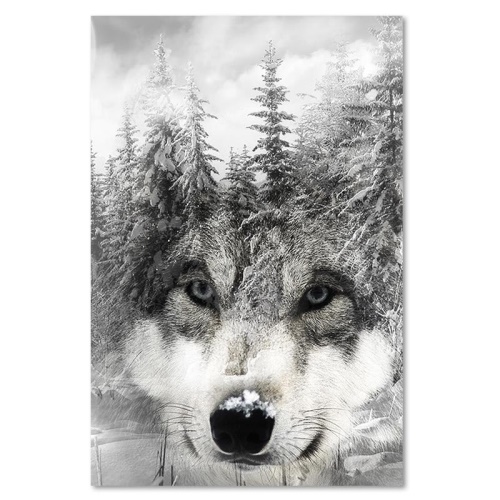 Obraz na plátně Wolf Forest Černá a bílá