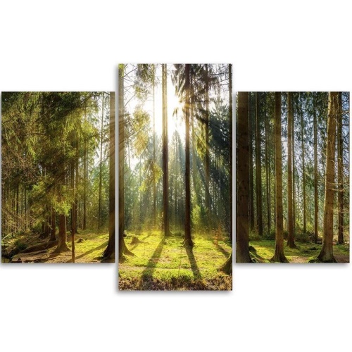 Obraz na plátně třídílný Lesní příroda Radiance