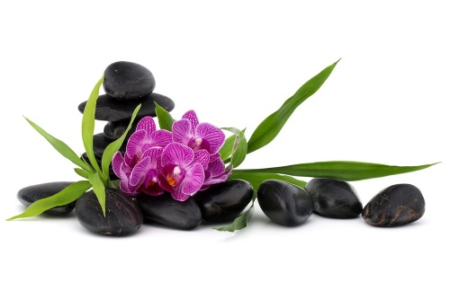 Samolepiaca tapeta fialová orchidea v Zen zátiší