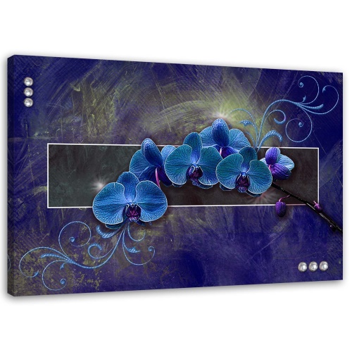 Obraz na plátně Orchidej Květina Modrá