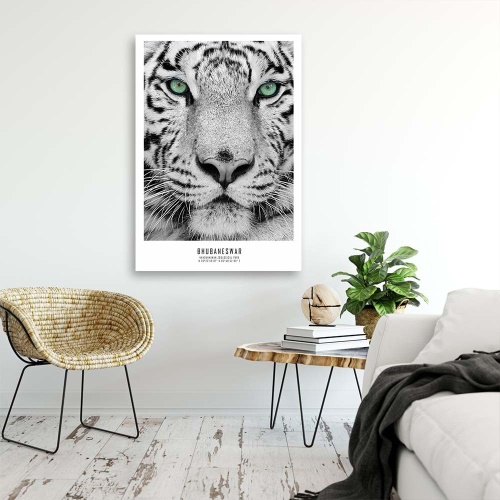 Obraz na plátně Afrika tygří zvířata