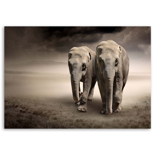 Obraz na plátně Afrika Sloni