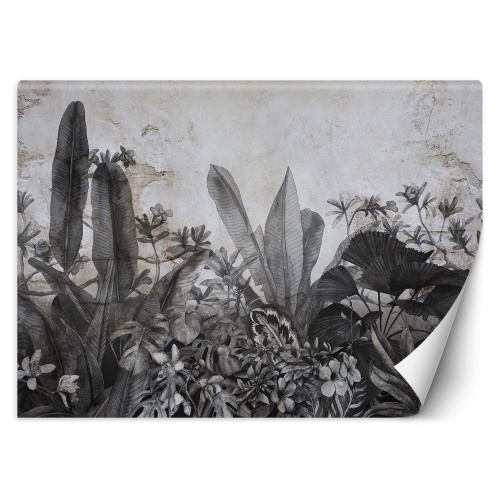 Fototapeta, Černobílé tropické listy na betonu