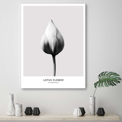 Obraz na plátně Lotosový květ černá a bílá