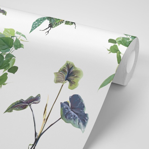 Samolepiaca tapeta pôvabné zelené listy - 75x1000 cm