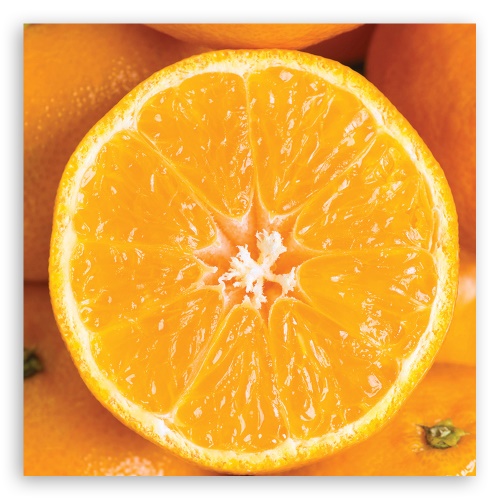 Obraz na plátně, Oranžové makro