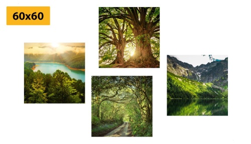 Set obrazov nádherná zelená príroda