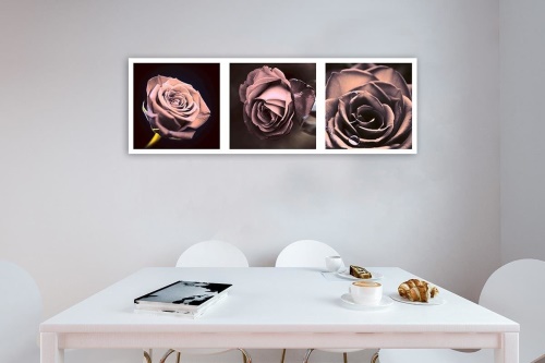 Obraz na plátně panoráma růží