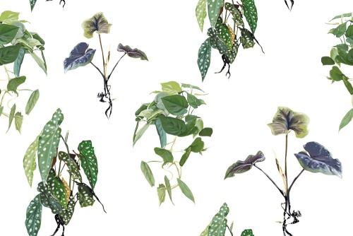 Samolepiaca tapeta pôvabné zelené listy - 75x1000 cm