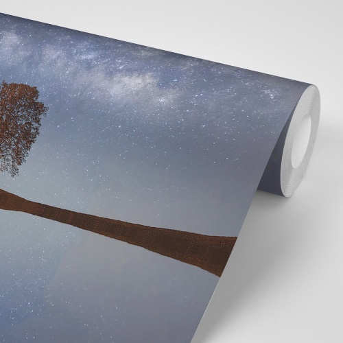 Samolepiaca fototapeta hviezdna obloha nad osamelým stromom