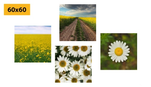 Set obrazov lúka plná kvetov