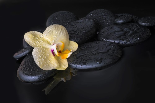 Samolepiaca fototapeta Zen kamene so žltou orchideou
