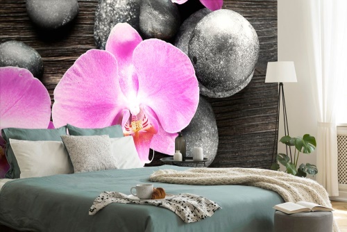 Samolepiaca fototapeta nádherná orchidea a kamene