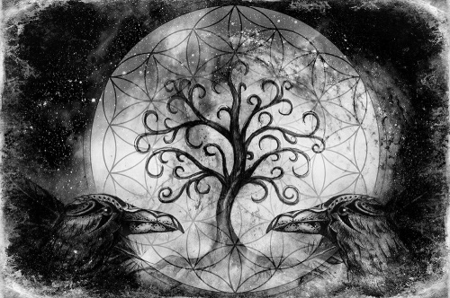 Samolepiaca tapeta čiernobiely magický strom života