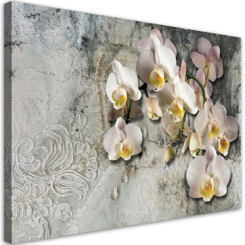 Obraz na plátně, Slunečné orchideje