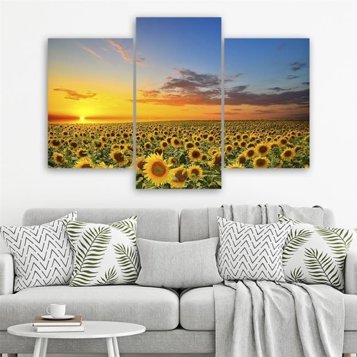 Obraz na plátně třídílný Slunečnice Květiny Louka