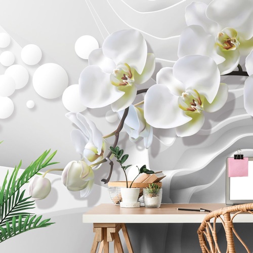 Tapeta orchidea na abstraktnom pozadí