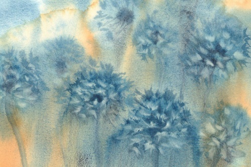 Obraz modrá púpava v akvarelovom prevedení