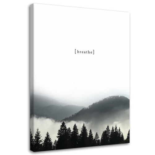 Obraz na plátně Horský les v mlze