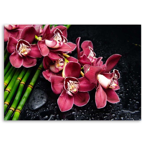 Obraz na plátně Růžová orchidej Bamboo Zen